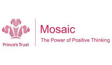 The Mosaic Programme