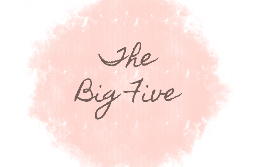 The Big Five (life skills to make a difference)