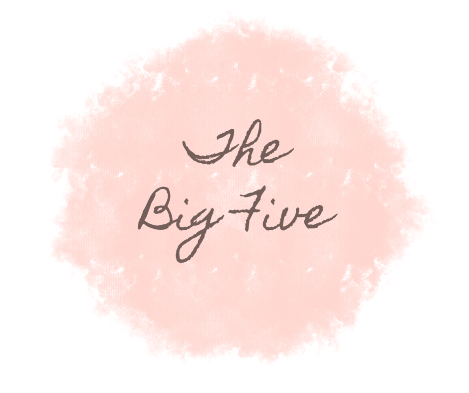 The Big Five (life skills to make a difference)